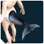 UIFashionGrayDolphinTail.png