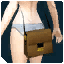 UIFashionBrownCompactBag.png