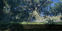 NGSUIQuest Thumbnail Resol Forest.png